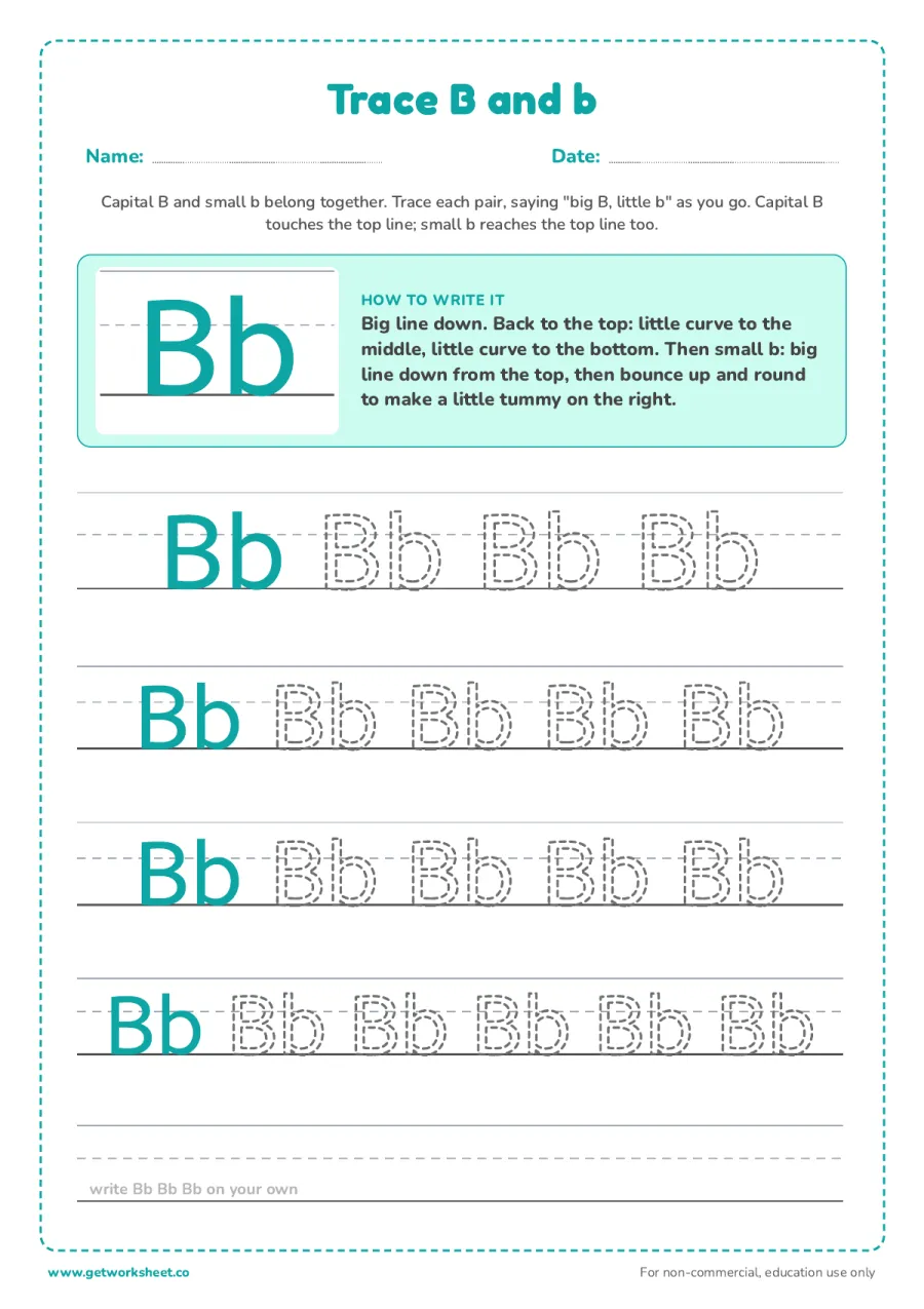 Trace B and b together Trace B and b together – free printable PDF worksheet, page 1 preview (6 free letter B tracing worksheets)