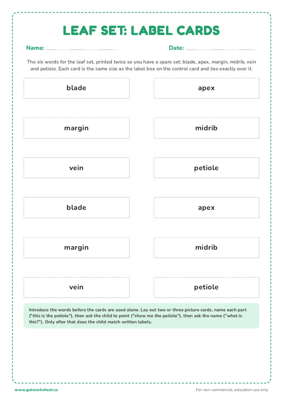 Worked example: parts of a leaf label cards – free printable PDF worksheet, page 1 preview (7 free Montessori three part cards templates)