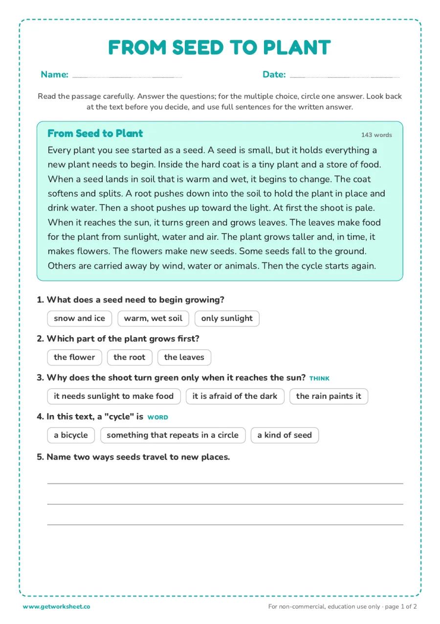 From Seed to Plant (nonfiction, 143 words) – free printable PDF worksheet, page 1 preview (8 free second grade reading comprehension worksheets)