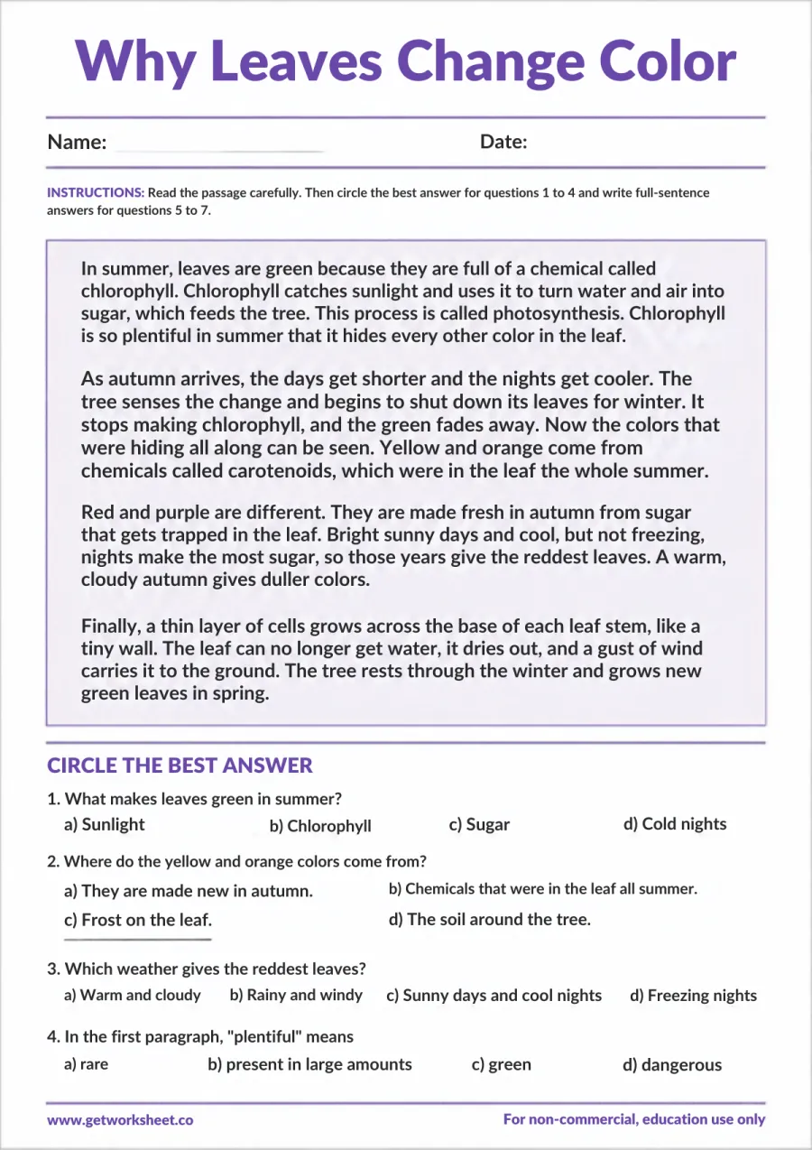 Why Leaves Change Color (science): main idea and cause-effect – free printable PDF worksheet, page 1 preview (Free third grade reading comprehension worksheets)